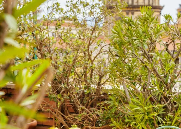 게스트하우스 Terrazza Monteroduni 16 4*